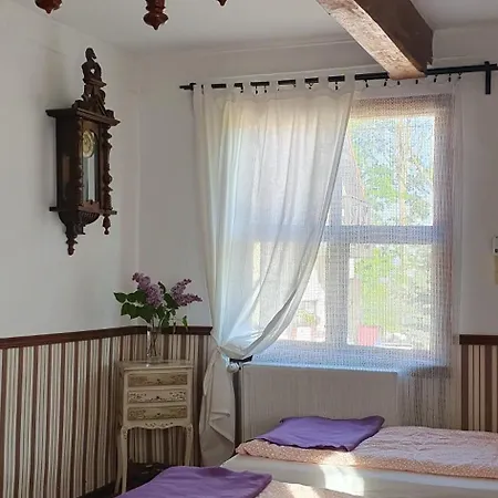 Zulawska Chata Nowy Dwór Gdański Zewnętrze zdjęcie