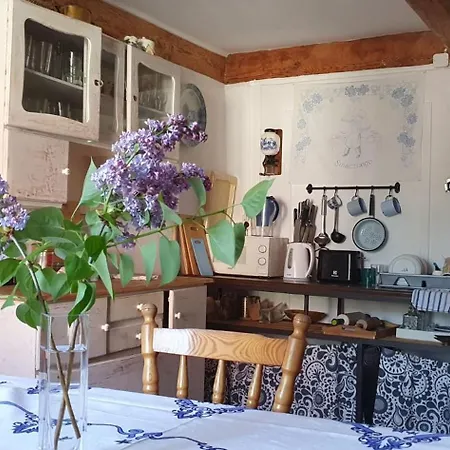 Zulawska Chata Nowy Dwór Gdański Zewnętrze zdjęcie